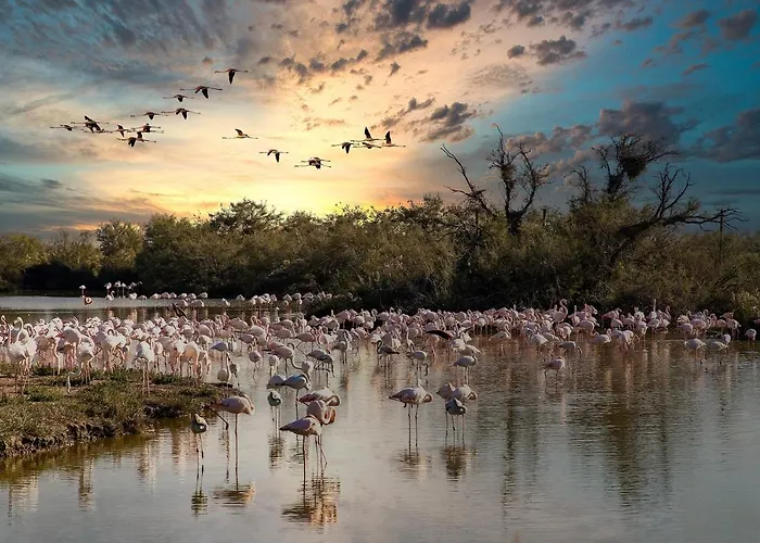 T2 Centre Historique Apartman Montpellier